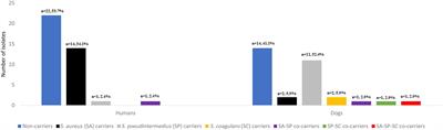 Clonal relatedness of coagulase-positive staphylococci among healthy dogs and dog-owners in Spain. Detection of multidrug-resistant-MSSA-CC398 and novel linezolid-resistant-MRSA-CC5